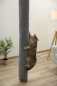 Preview: Kerbl Klettersack Katzen Carpet - ideale Alternative zu Kratzbaum deckenhoch, Aufstiegshilfe, Bezug waschbar